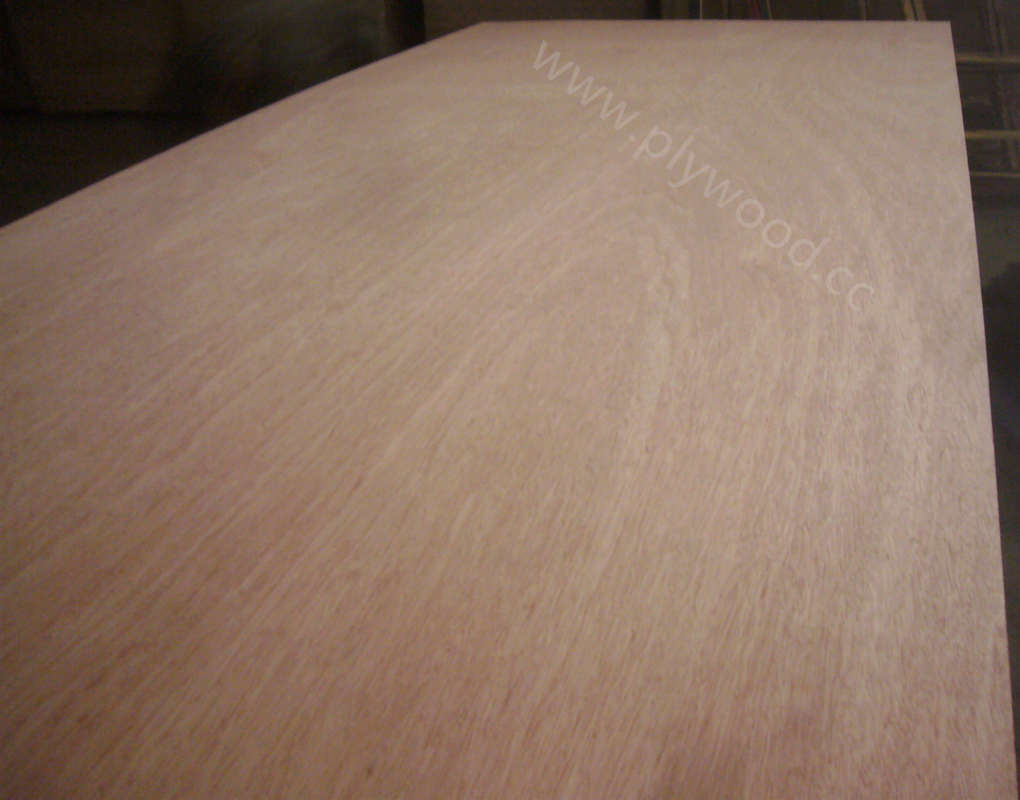 b/bb grade plywood for germany, france, united kindom