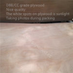 DBB/CC grade plywood