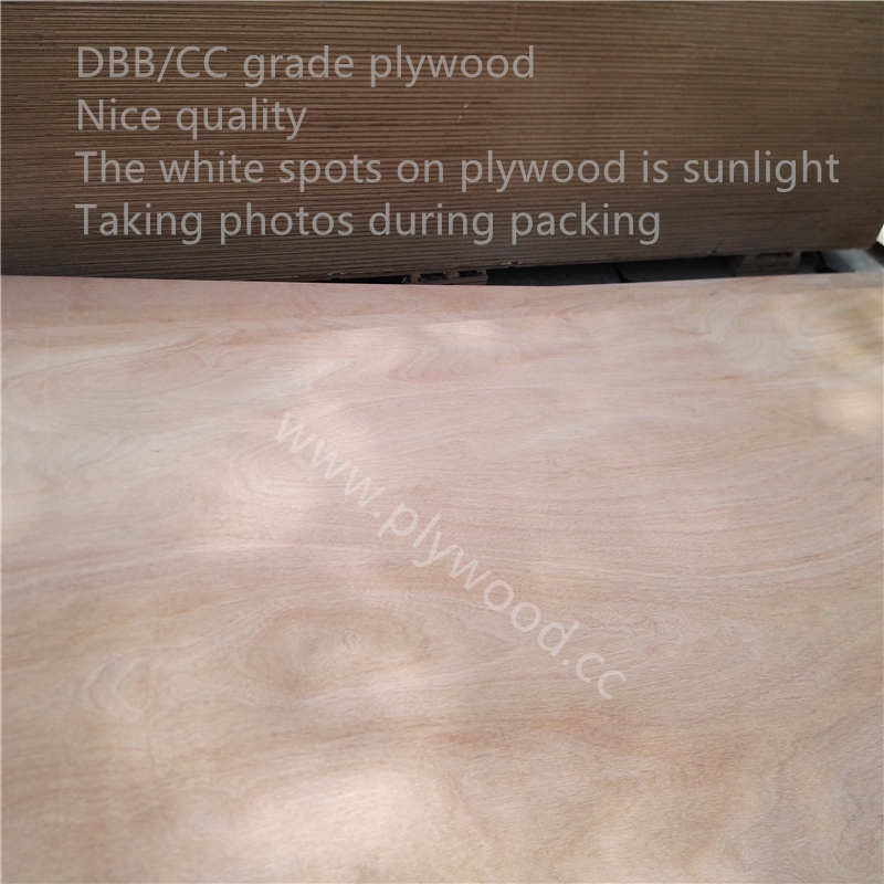 DBB/CC grade plywood