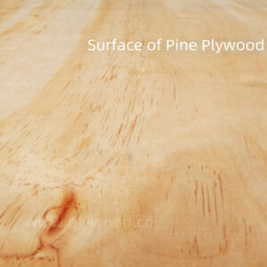 Pine Plywood