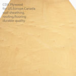 CDX Grade Plywood–i.e. C-D Exposure 1 Plywood