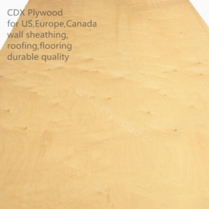 CDX Plywood