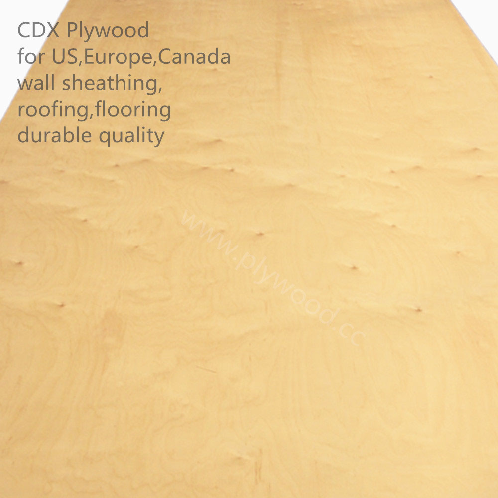 CDX Grade Plywood--i.e. C-D Exposure 1 Plywood
