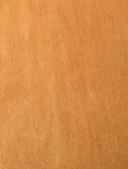 Red Canarium Plywood - A Substitute For Meranti (Lauan) Plywood