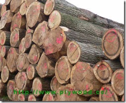 Wood & Logs