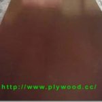 Discount Price & Clearance Sale – Film Faced Plywood (Combi Core)