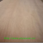 Plywood Prices – Price Reduction