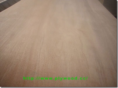 Plywood Veneers (Face)