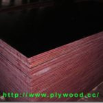 The Black Film Faced Plywood Sold On China Domestic Market