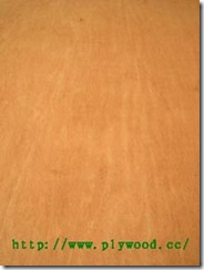 Commercial Plywood