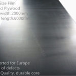 Big Size Film Faced Plywood / Large Size Film Faced Plywood