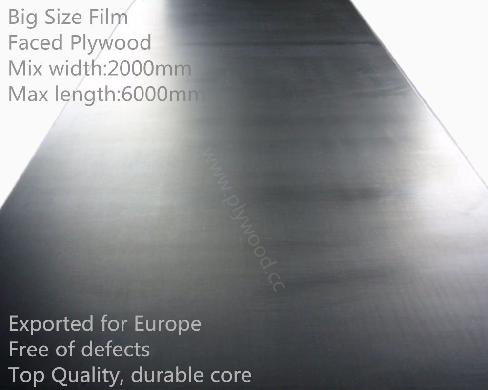 Big Size Film Faced Plywood / Large Size Film Faced Plywood