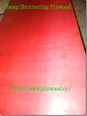 Cheap Shuttering Plywood