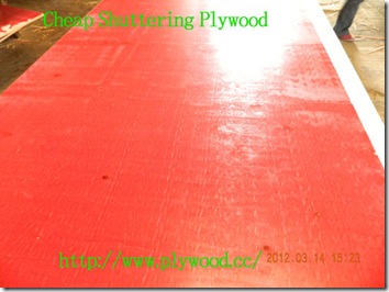 Cheap-Shuttering-Plywood-2