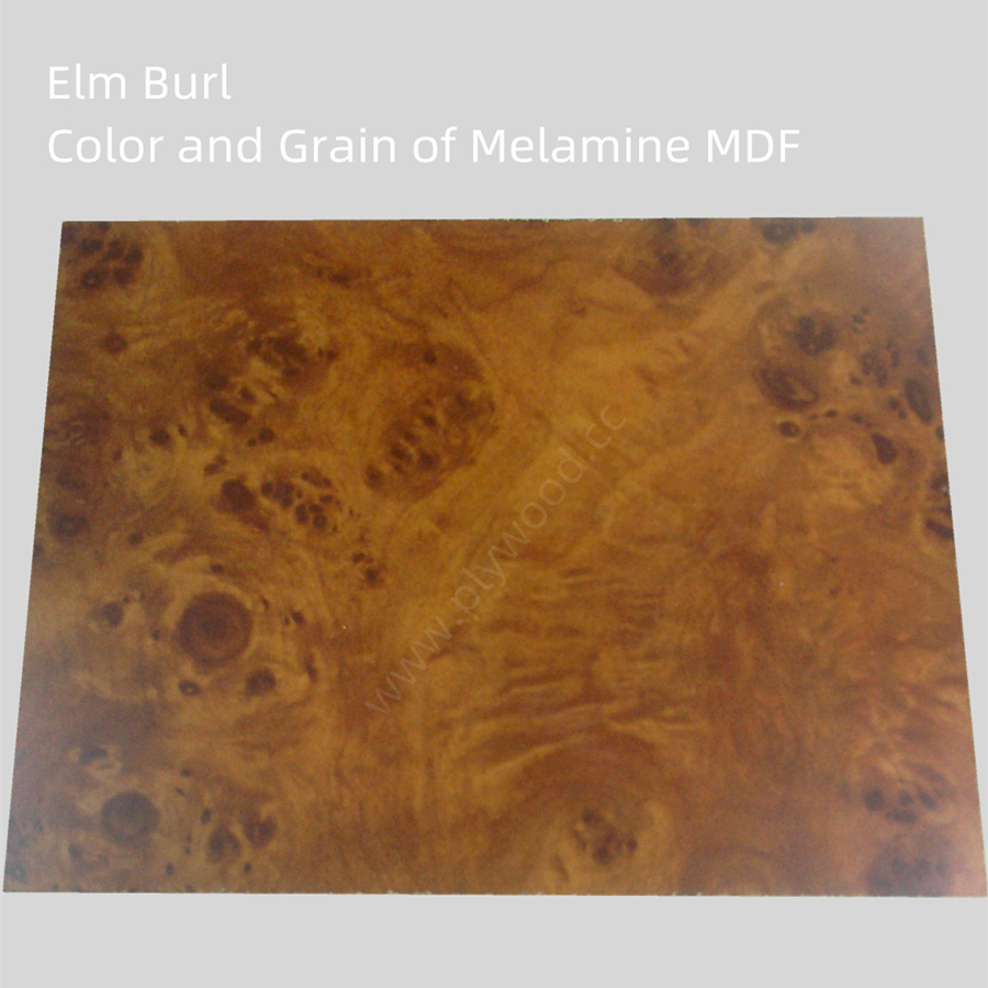 Elm Burl - Color and Grain of Melamine MDF