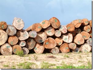 Hardwood Logs