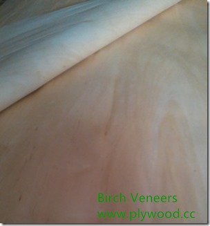 Birch Veneers