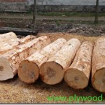 What on earth is hardwood ?
