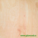 Types of Plywood According to JPIC/JAS Standards