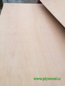 Hardwood plywood