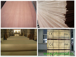 Plywood