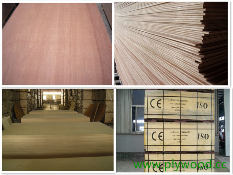 Plywood Sheets