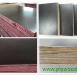 Shuttering Film Faced Plywood