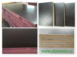 film faced shuttering plywood