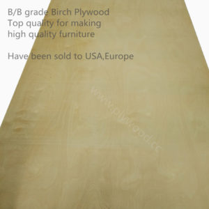 Birch plywood