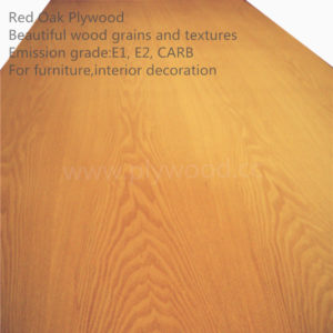 Red Oak Plywood - Fancy Plywood (Decorative Plywood)