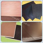 Prices Of Plywood Door Skins