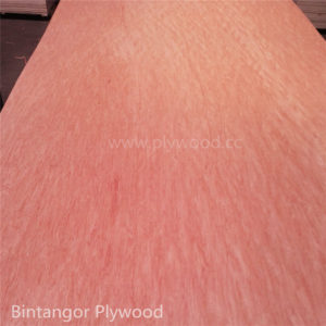 Bintangor Plywood