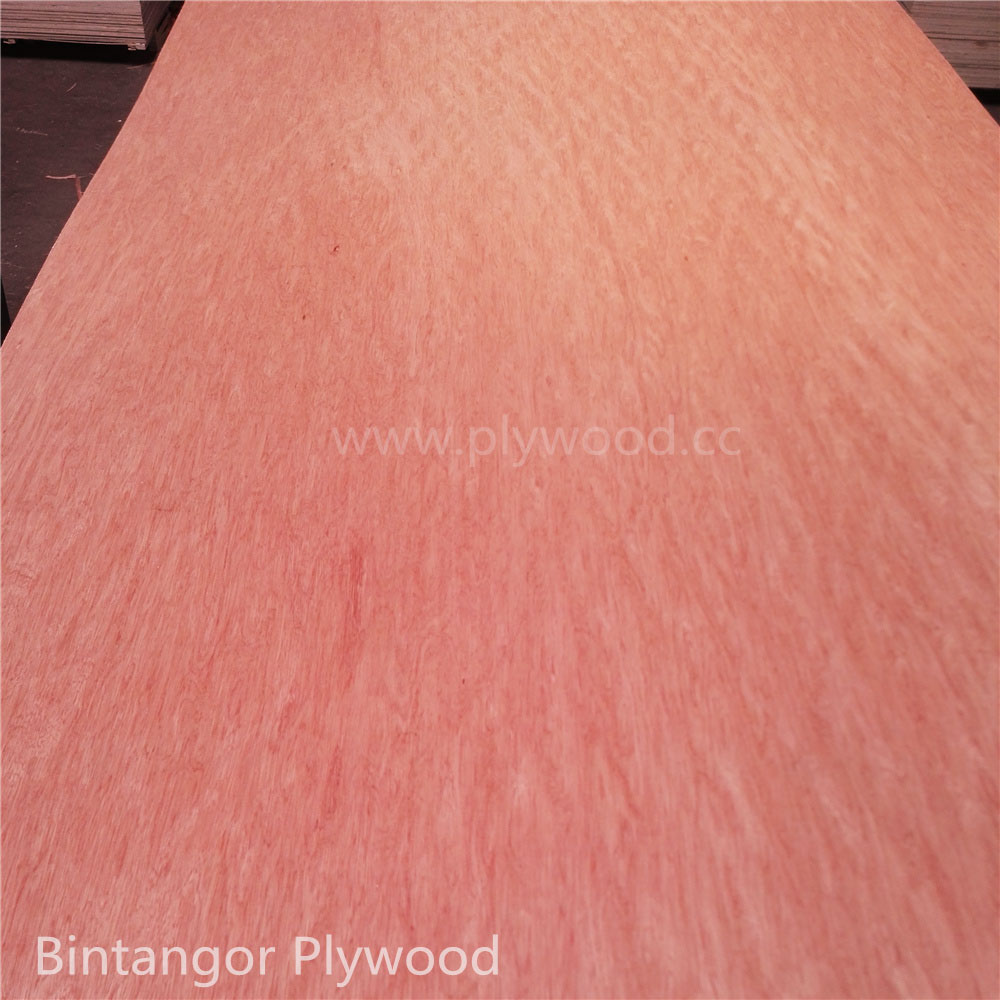 Bintangor (Bingtangor) Plywood