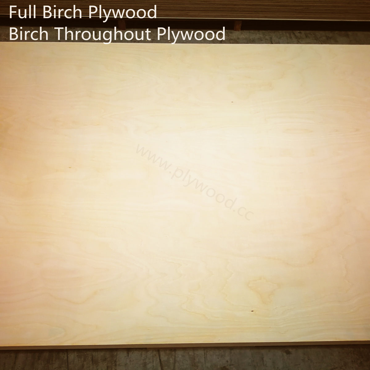 Full Birch Plywood (also called throughout birch plywood)