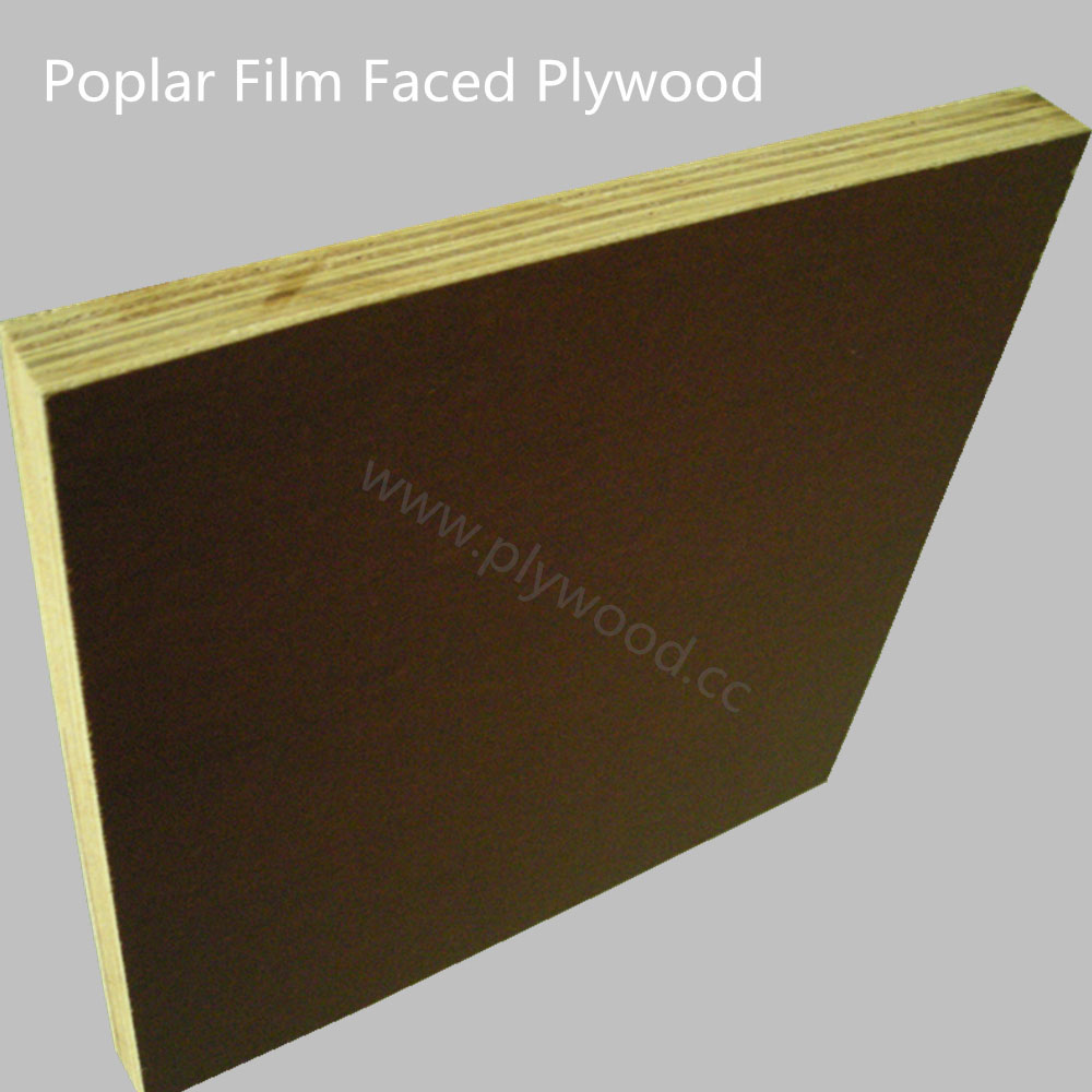 Poplar Film Faced Plywood