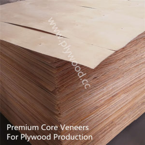 Premium Plywood Core Veneer