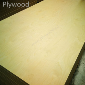 High Quality Plywood